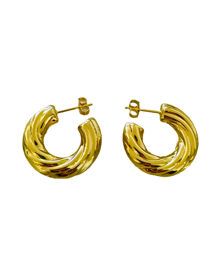 Stainless Steel Rope Hoop Earrings