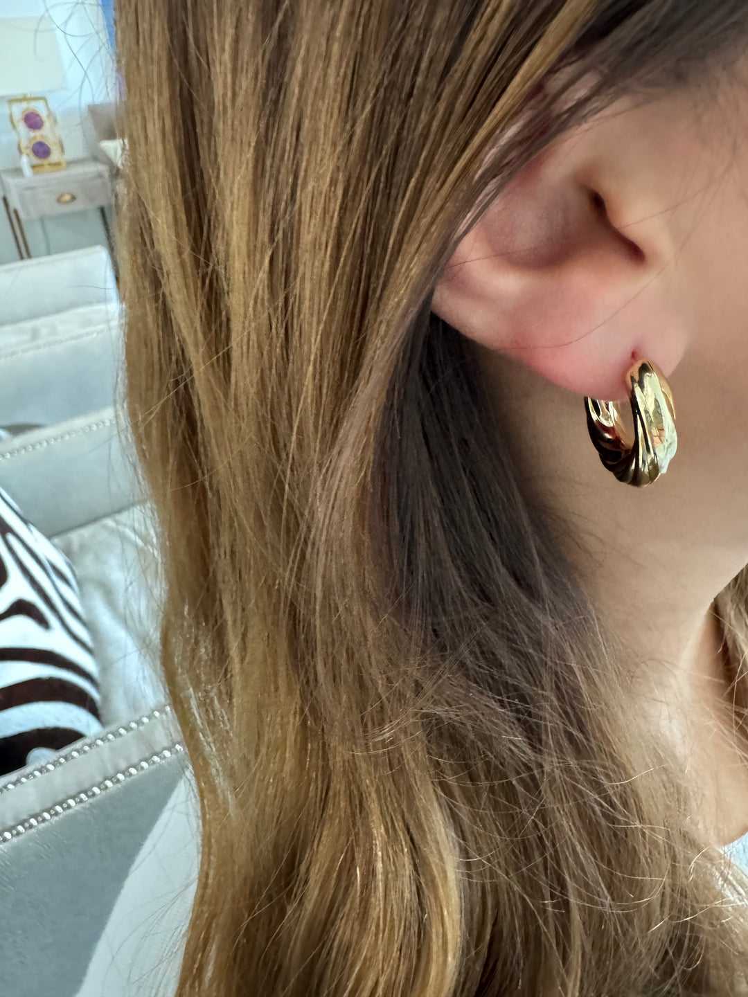 Stainless Steel Rope Hoop Earrings