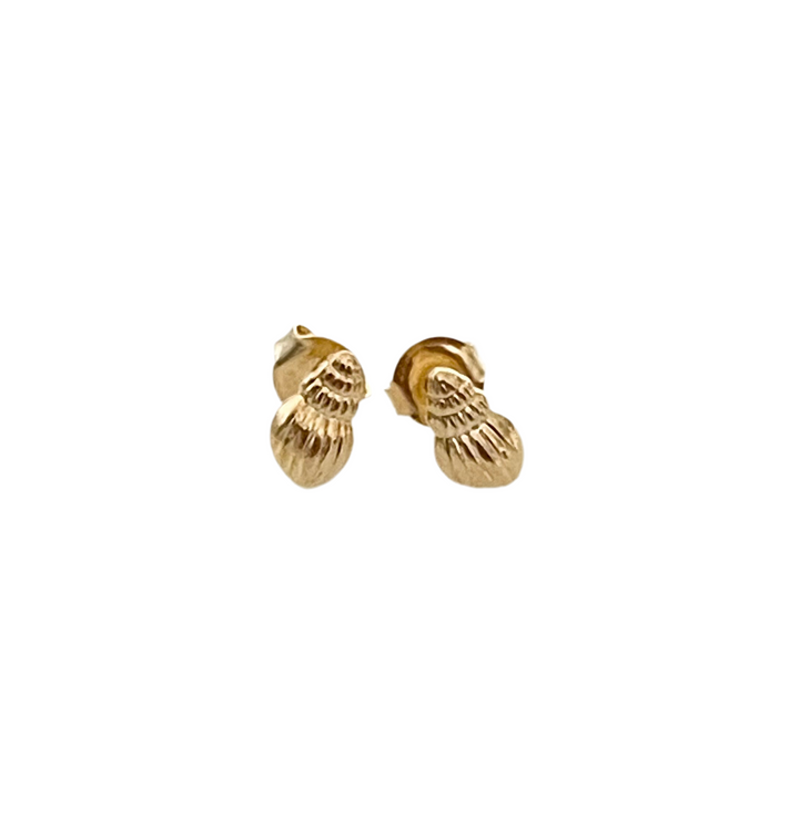 Sea Shell   Earring