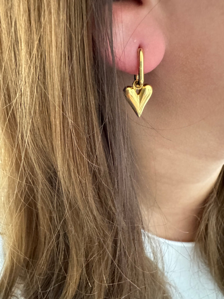 Stainless Steel Heart Drop Shape Hoop Earrings