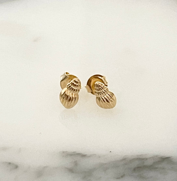 Sea Shell   Earring